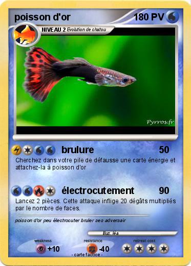 Pokemon poisson d'or