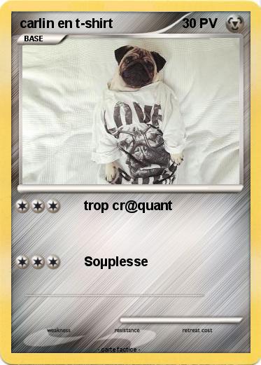 Pokemon carlin en t-shirt