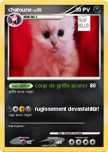 Pokemon chatoune