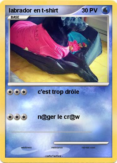 Pokemon labrador en t-shirt