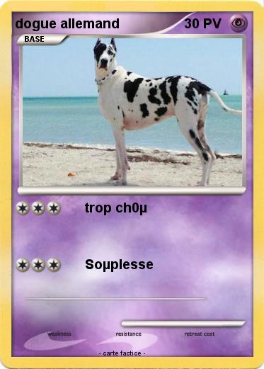 Pokemon dogue allemand