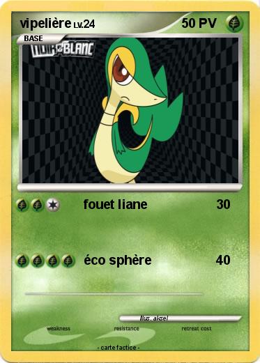 Pokemon vipelière