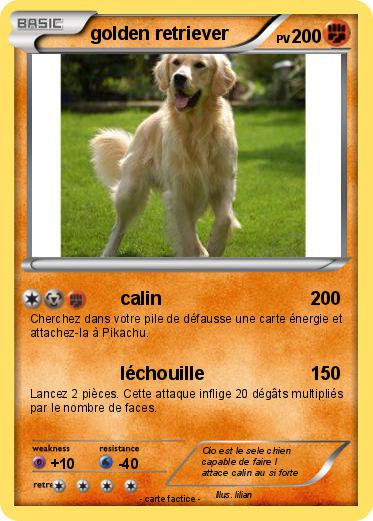 Pokemon golden retriever