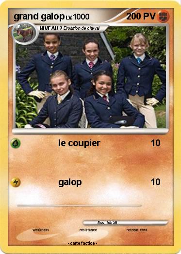 Pokemon grand galop