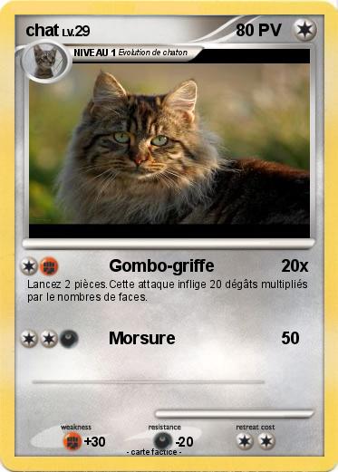 Pokemon chat