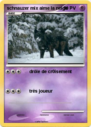 Pokemon schnauzer mix aime la neige