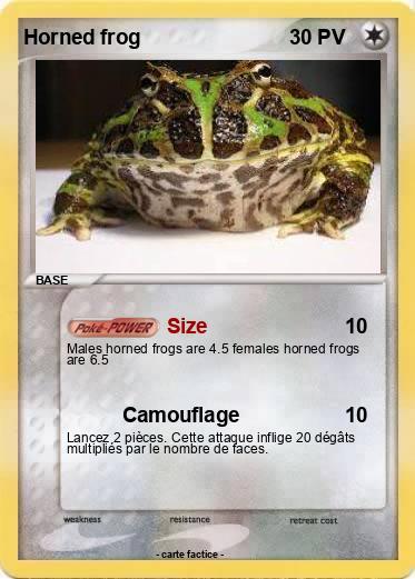 Pokemon Horned frog