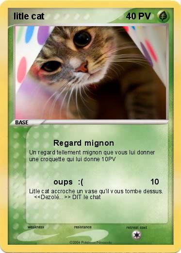 Pokemon litle cat 