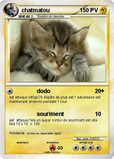 Pokemon chatmatou