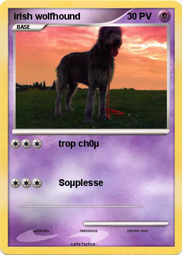 Pokemon irish wolfhound