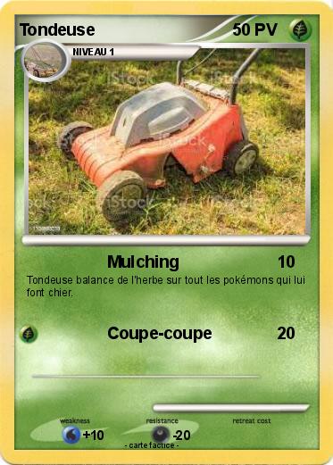 Pokemon Tondeuse