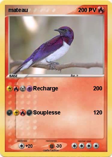 Pokemon mateau