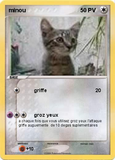 Pokemon minou