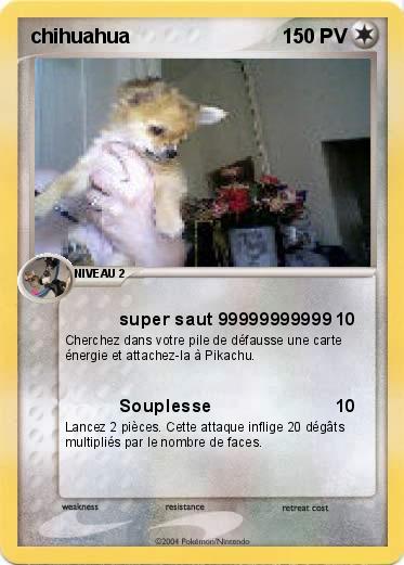 Pokemon chihuahua