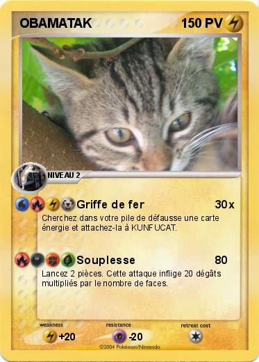 Pokemon OBAMATAK