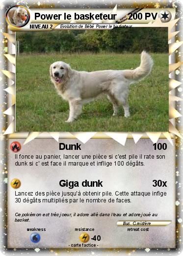 Pokemon Power le basketeur