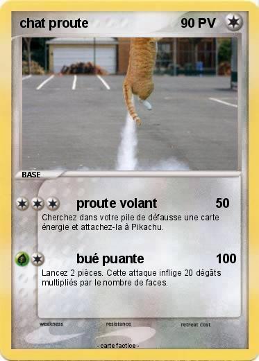 Pokemon chat proute