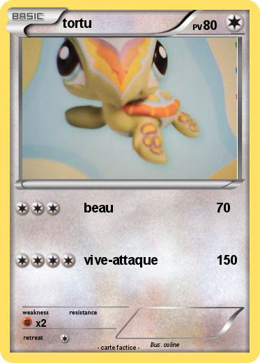 Pokemon tortu