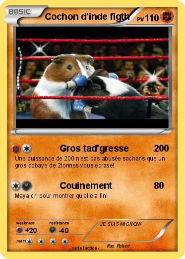 Pokemon Cochon d'inde figth
