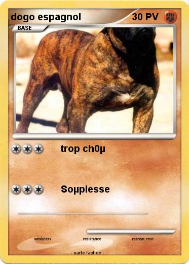 Pokemon dogo espagnol