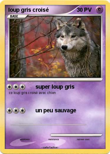 Pokemon loup gris croisé