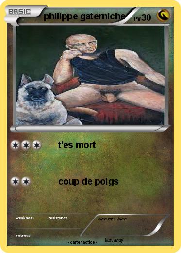 Pokemon philippe gaterniche