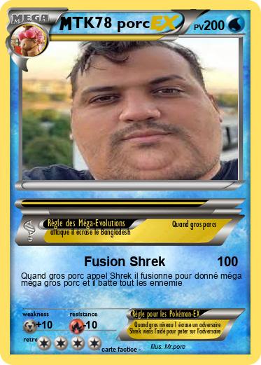 Pokemon TK78 porc