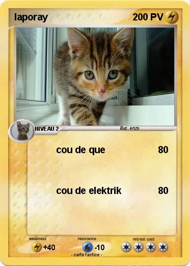 Pokemon laporay