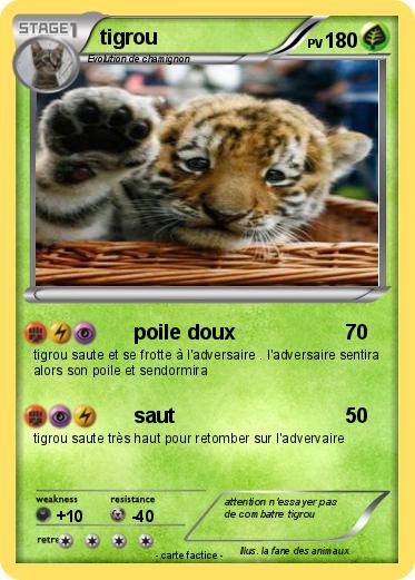 Pokemon tigrou