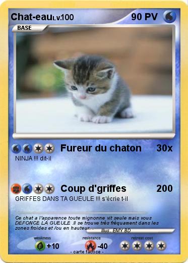 Pokemon Chat-eau