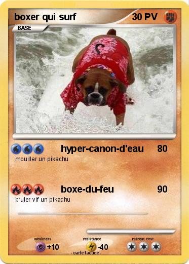 Pokemon boxer qui surf