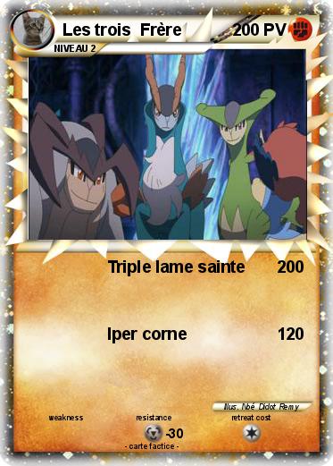 Pokemon Les trois  Frère