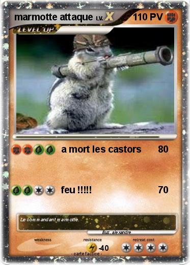 Pokemon marmotte attaque