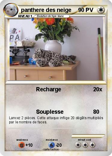 Pokemon panthere des neige