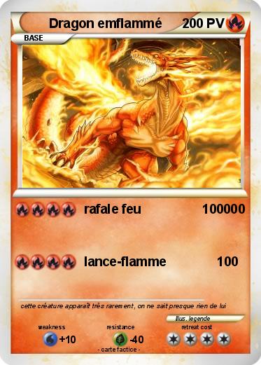 Pokemon Dragon emflammé