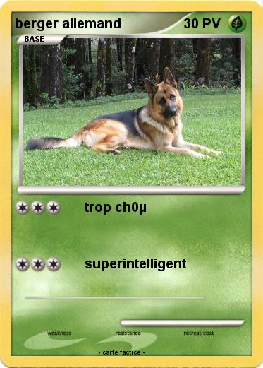 Pokemon berger allemand