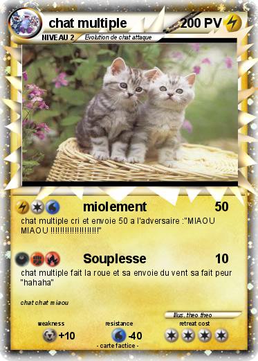 Pokemon chat multiple