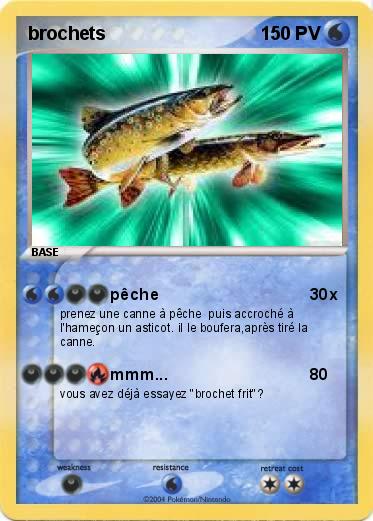 Pokemon brochets