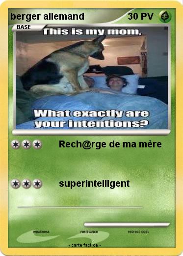 Pokemon berger allemand