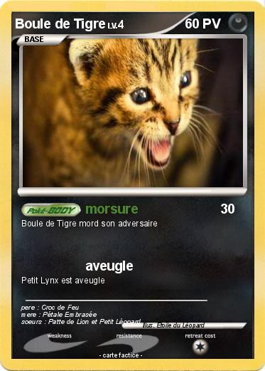 Pokemon Boule de Tigre