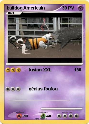 Pokemon bulldog Americain