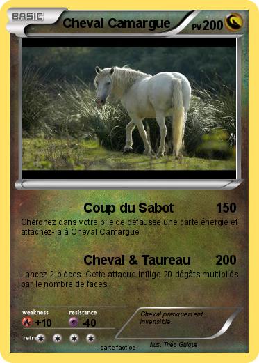 Pokemon Cheval Camargue