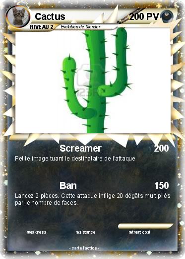 Pokemon Cactus