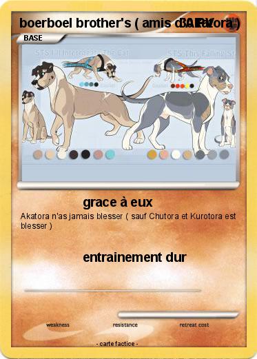 Pokemon boerboel brother's ( amis d'Akatora )