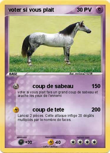 Pokemon voter si vous plait