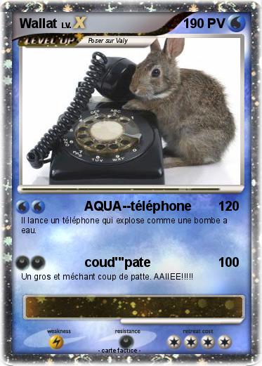 Pokemon Wallat