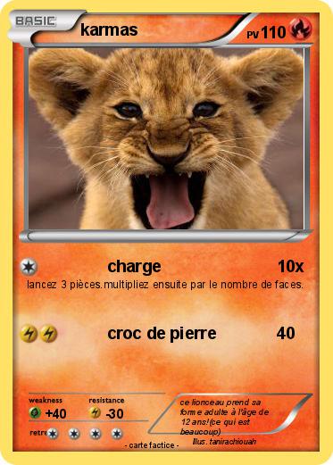 Pokemon karmas