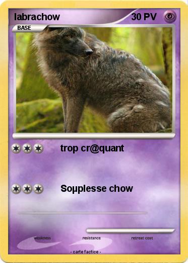 Pokemon labrachow