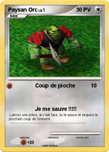 Pokemon Paysan Orc