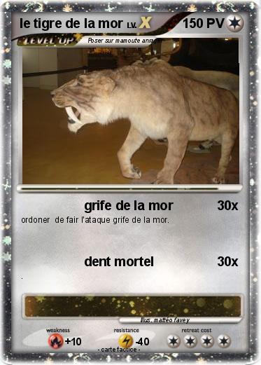 Pokemon le tigre de la mor